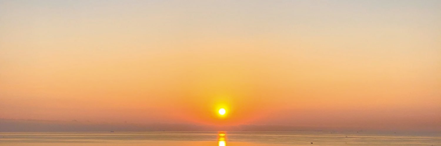 t. banner