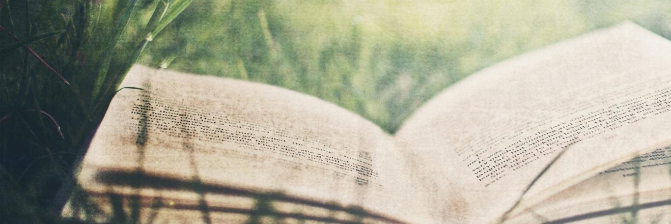 ReadingWithMeSH's profile banner image