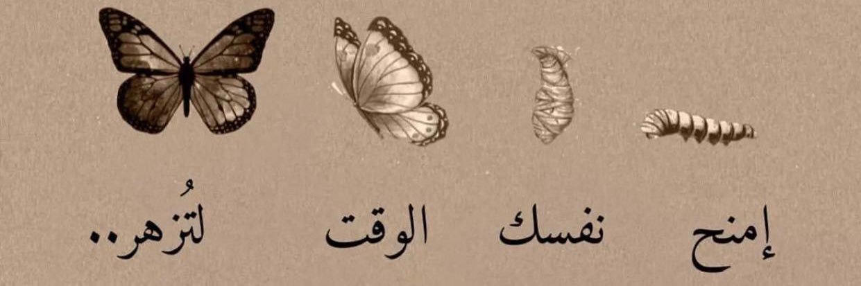 #Al_reem 🎻 banner