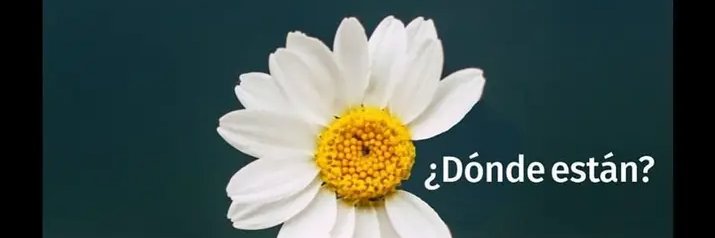 M. Adela González banner