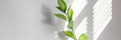 نبأ البابلية banner