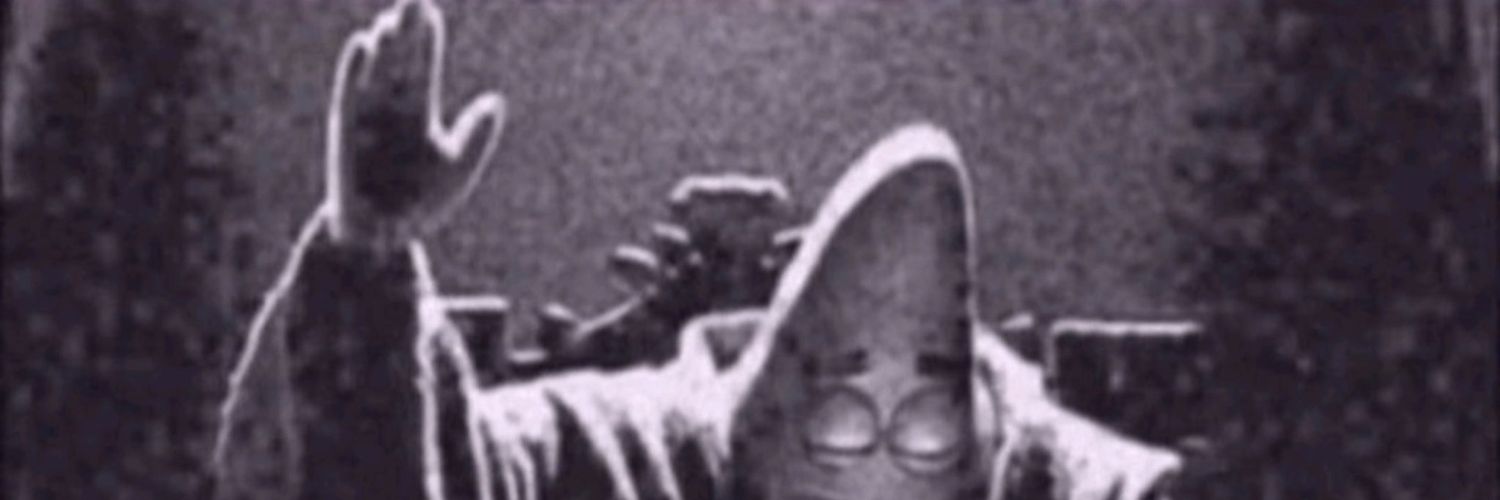 Shnertly banner