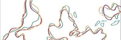 Michael Riegner banner