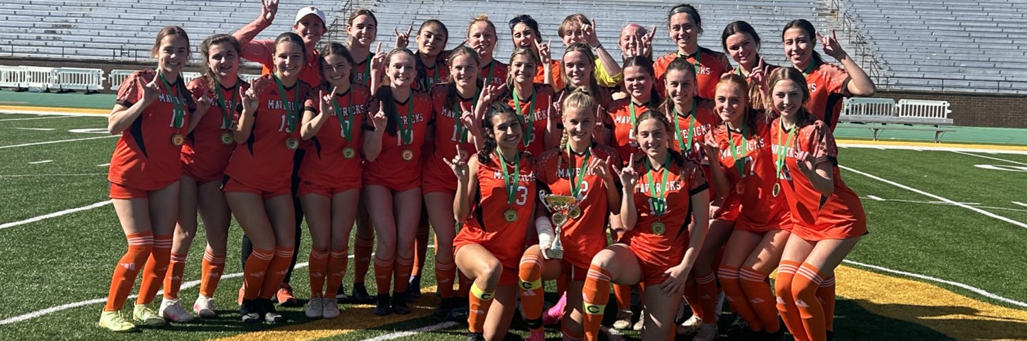 Alison Stelling banner