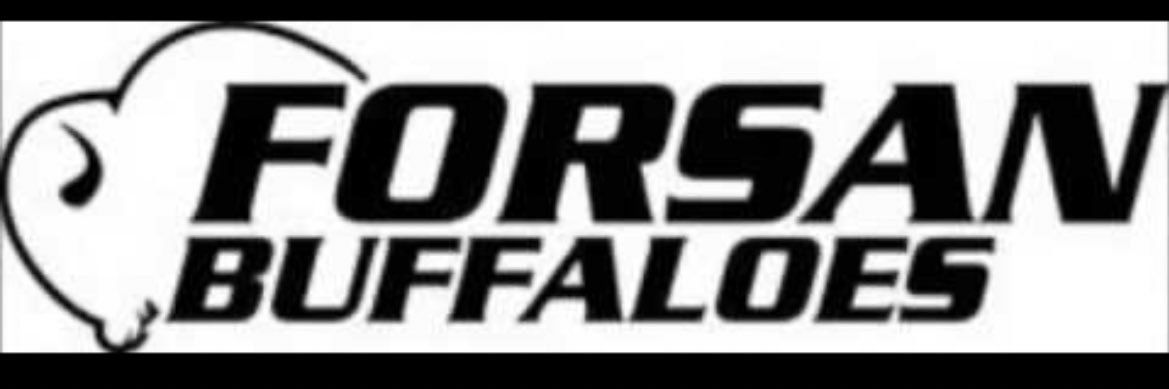 Damarion banner