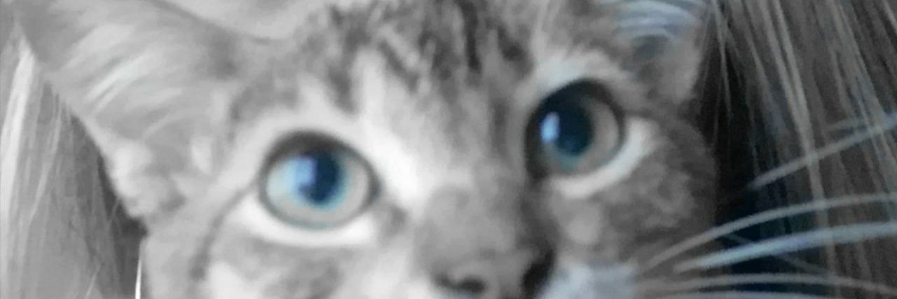 soysmithd's profile banner image