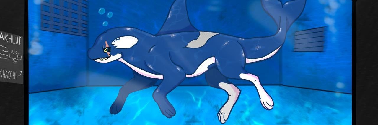 Shacchi || 0RC4 banner