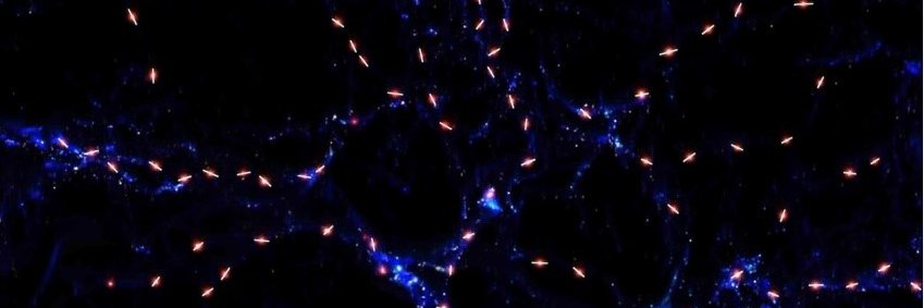 OnceUponATimeInTheUniverse banner