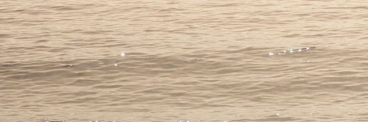 elyvliely's profile banner image