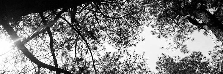 oikgobril's profile banner image