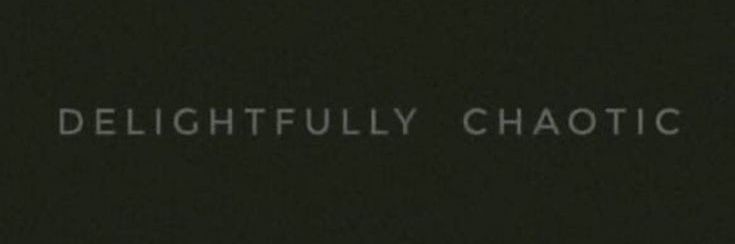 The Outlaw ✧ banner