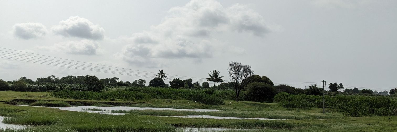 Anya 🇮🇳 banner