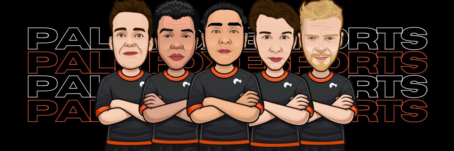 PFE | Dragonfly banner