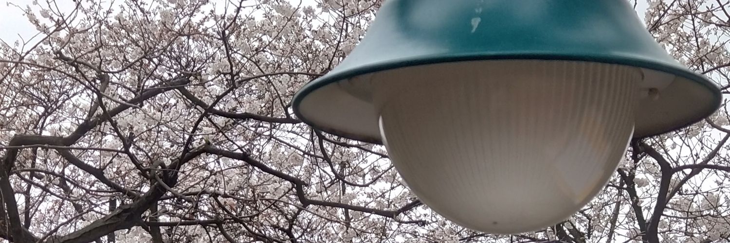 ももい's banner