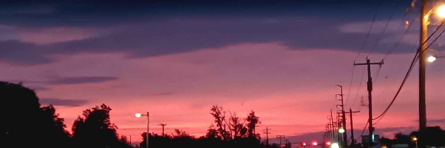 Walter h Young II banner