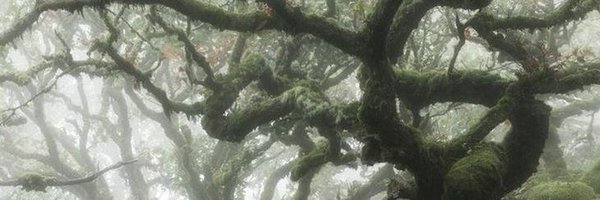 blepsssss Profile Banner