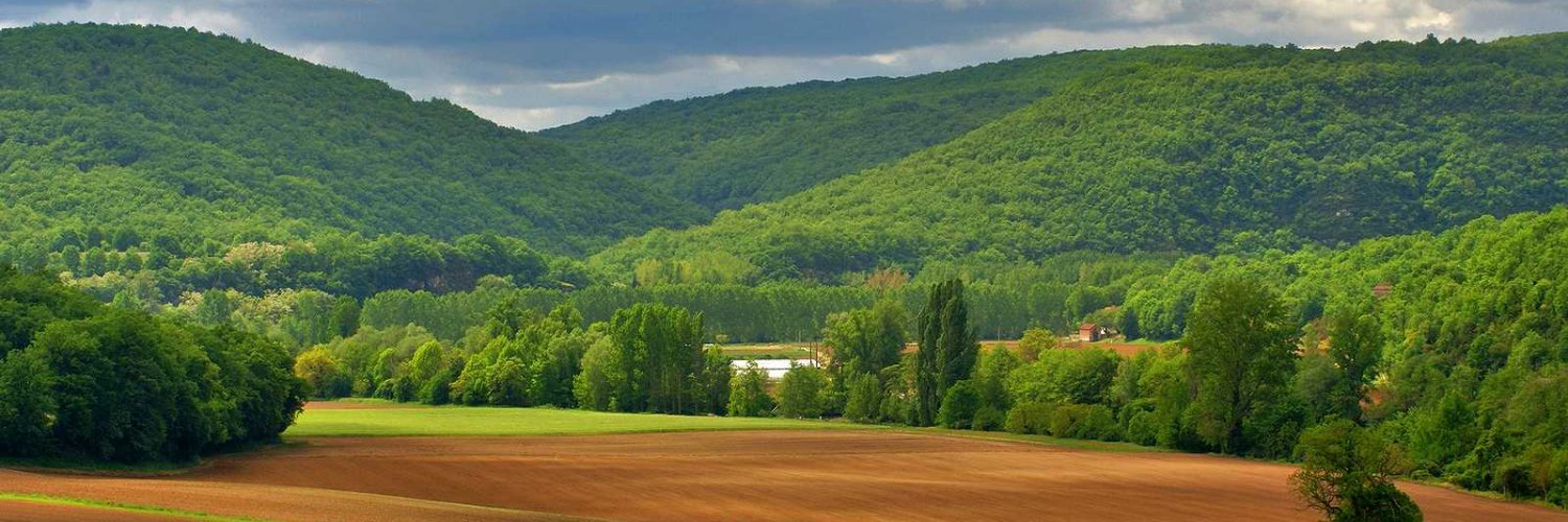 Bitcoinenbouriane banner