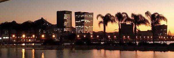 AllyneMSBrito's profile banner image