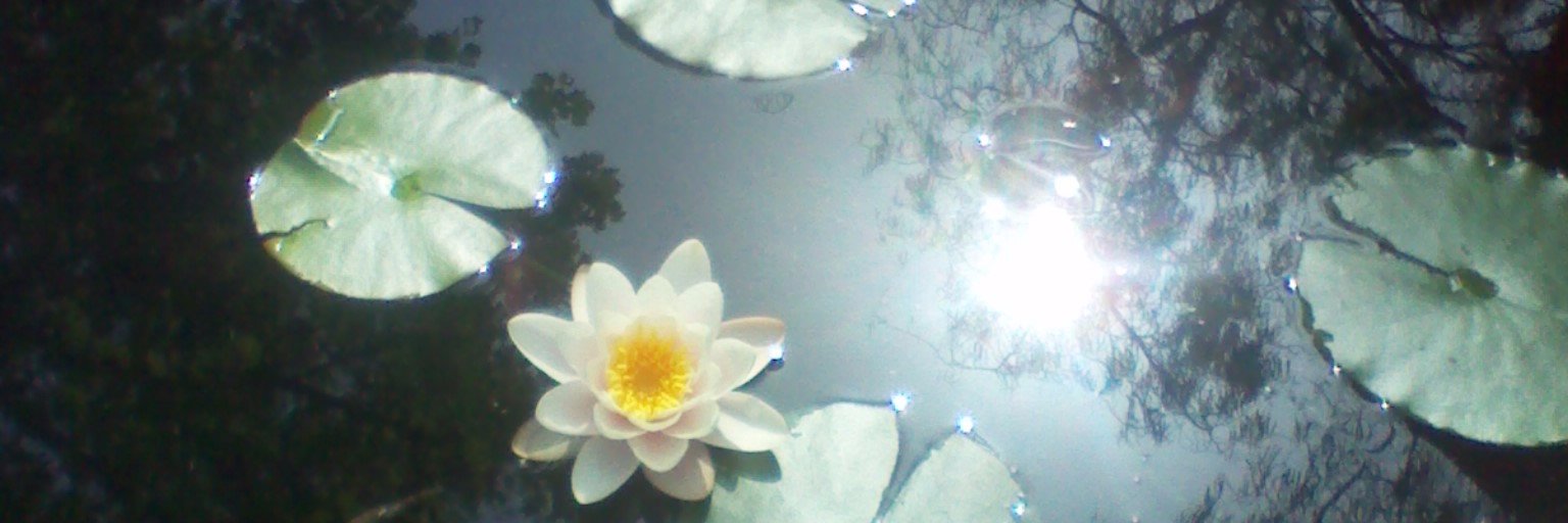 AngelAtreides's profile banner image