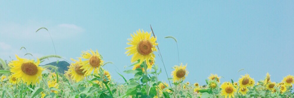 chofiskl's profile banner image