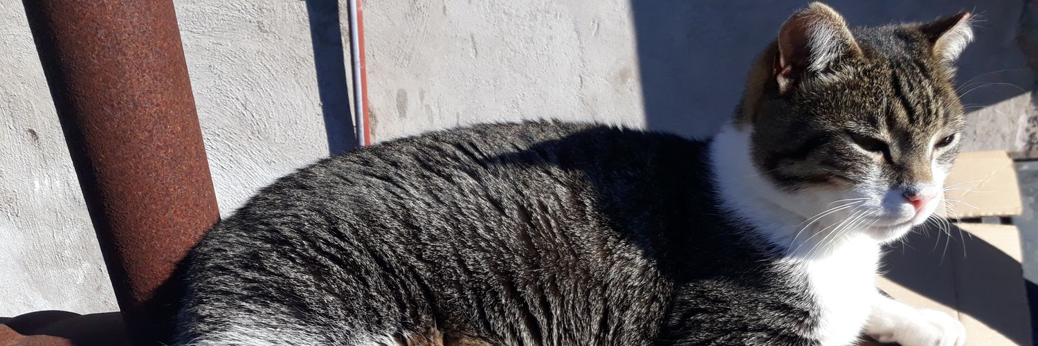 heyyyba's profile banner image