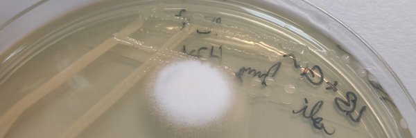 BioEspada Profile Banner