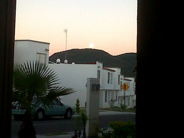LVGL's profile banner image