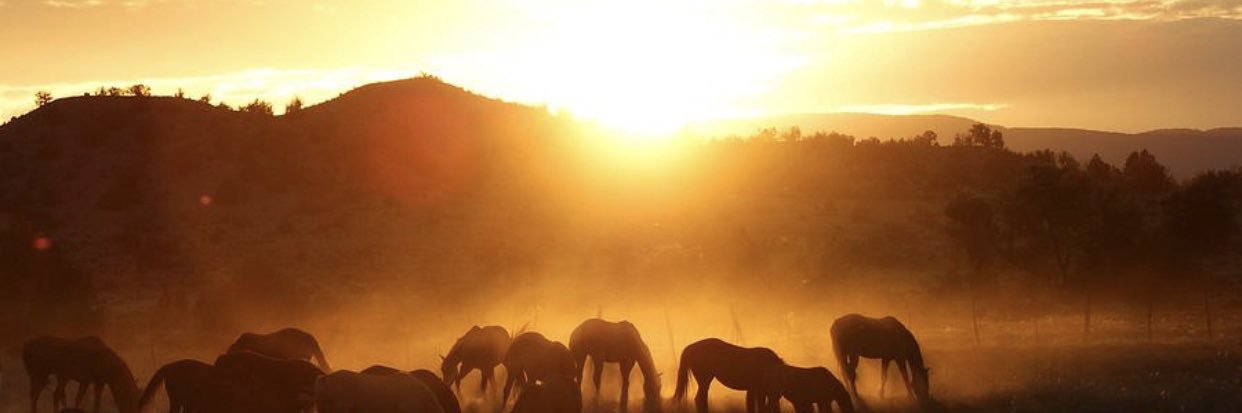 theMiddleEighty banner