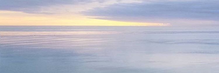 Michelle MacAleese banner