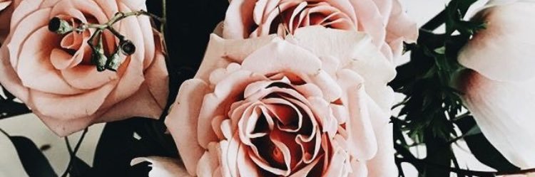 TatumGarvey's profile banner image