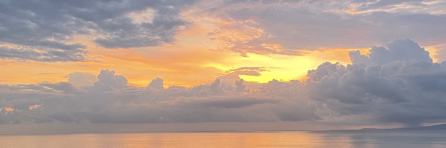 clarizalde's profile banner image