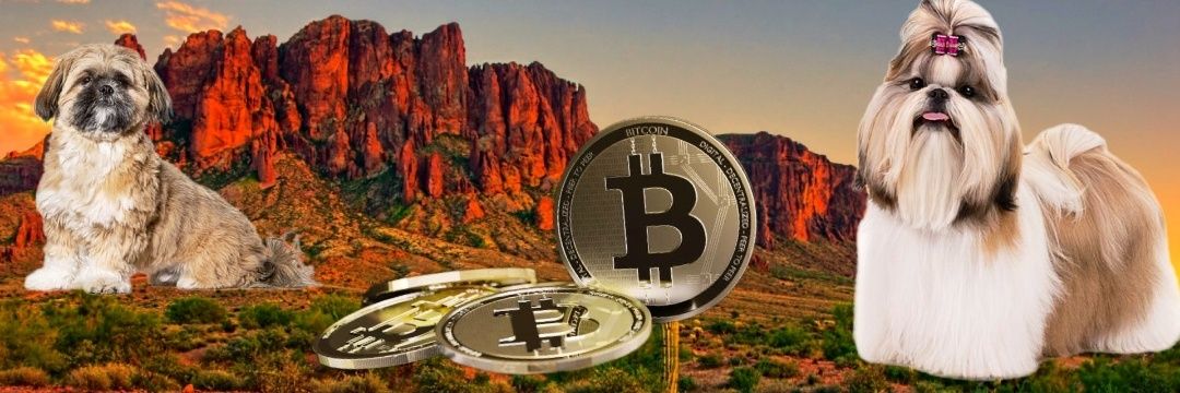 Sassy Tim Tim banner