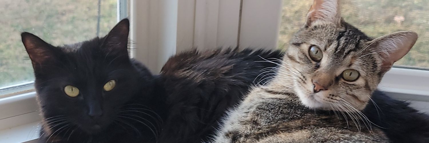 natedoh657's profile banner image