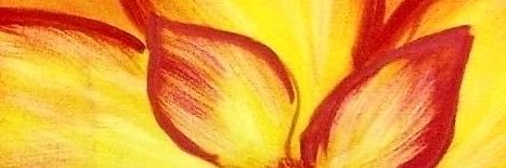 rahromania's profile banner image