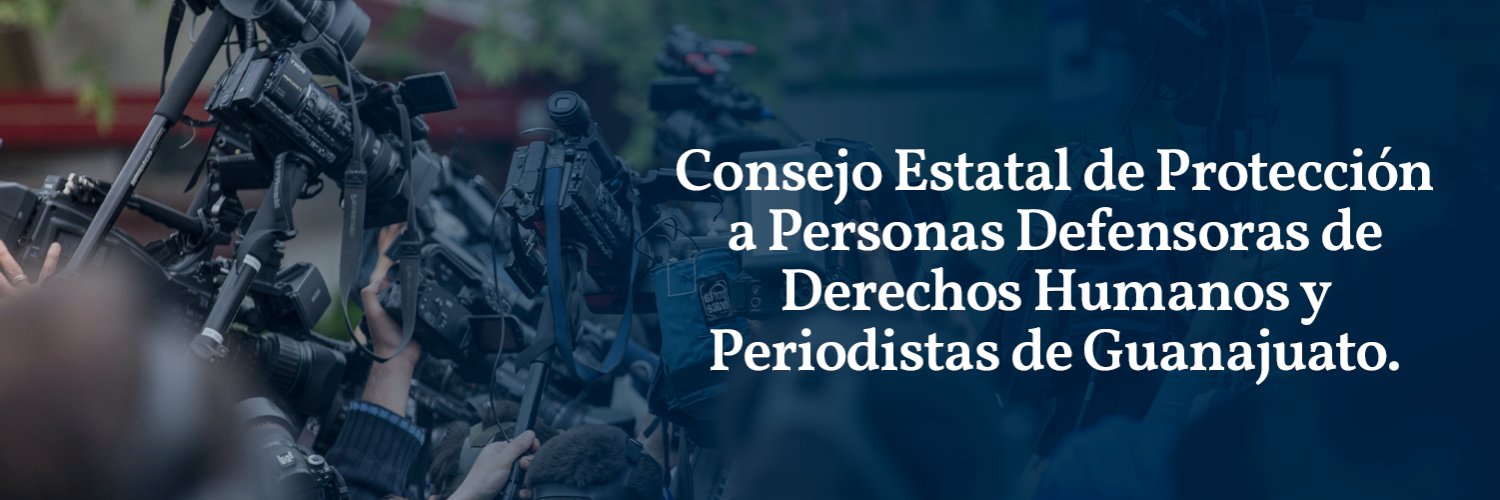 Consejo Estatal de Protección banner