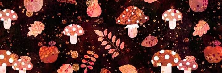 cricket 🍄 CONNOR DAY ☀️ banner