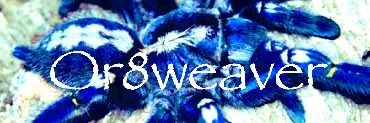 🕸️ vriska 🕷️ banner