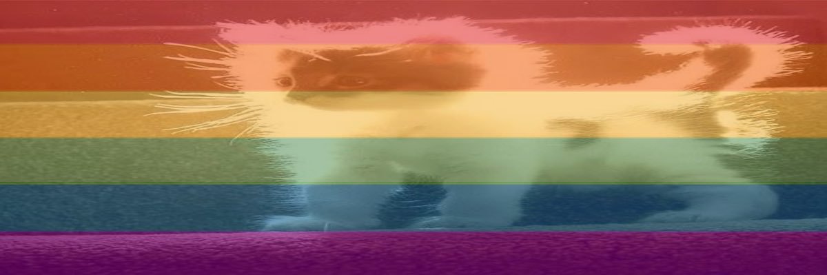 cynn ☺︎ | 🍉's banner