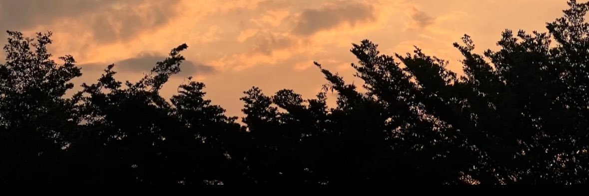 MQU7_'s profile banner image
