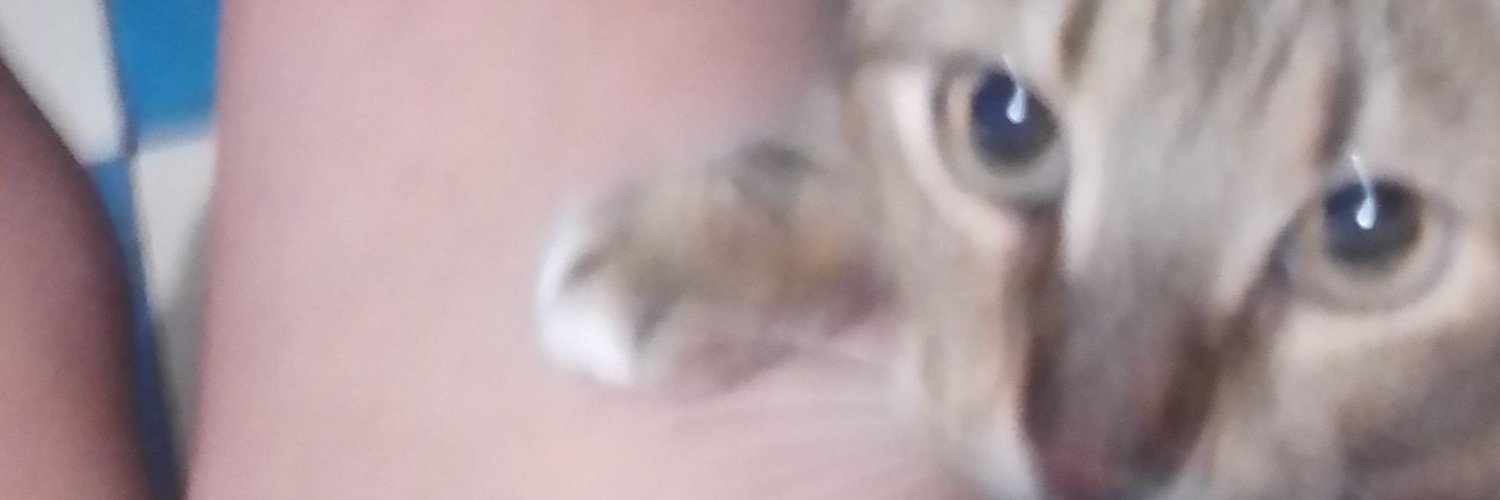Rofra13's profile banner image