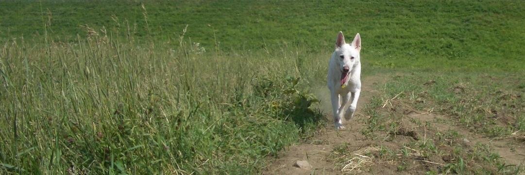 Margot Bloomstein banner