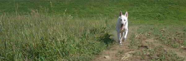 mbloomstein Profile Banner