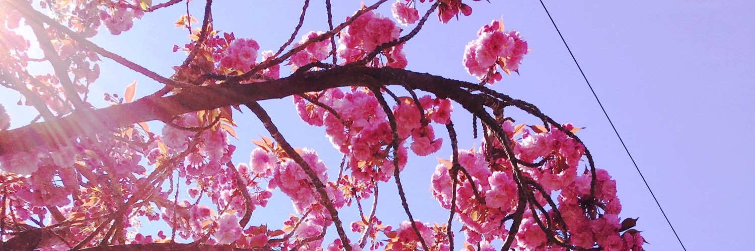 frenchspark's profile banner image