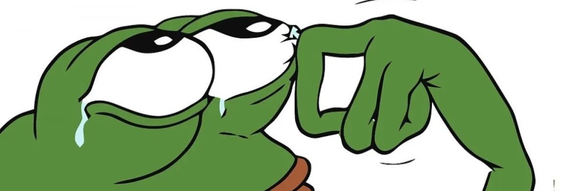 Frogdog Coin banner