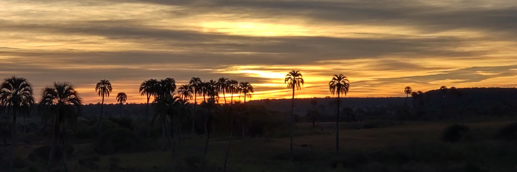 lagurisadaa's profile banner image