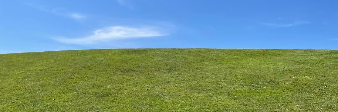 John Forstmeier banner