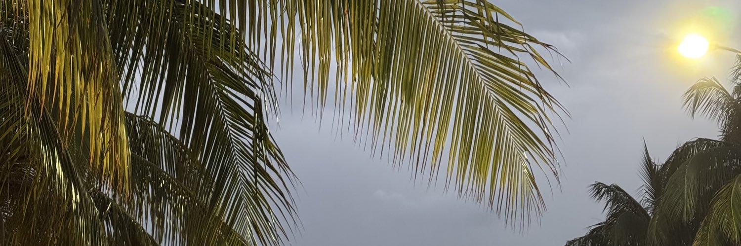 aliasamaris's profile banner image