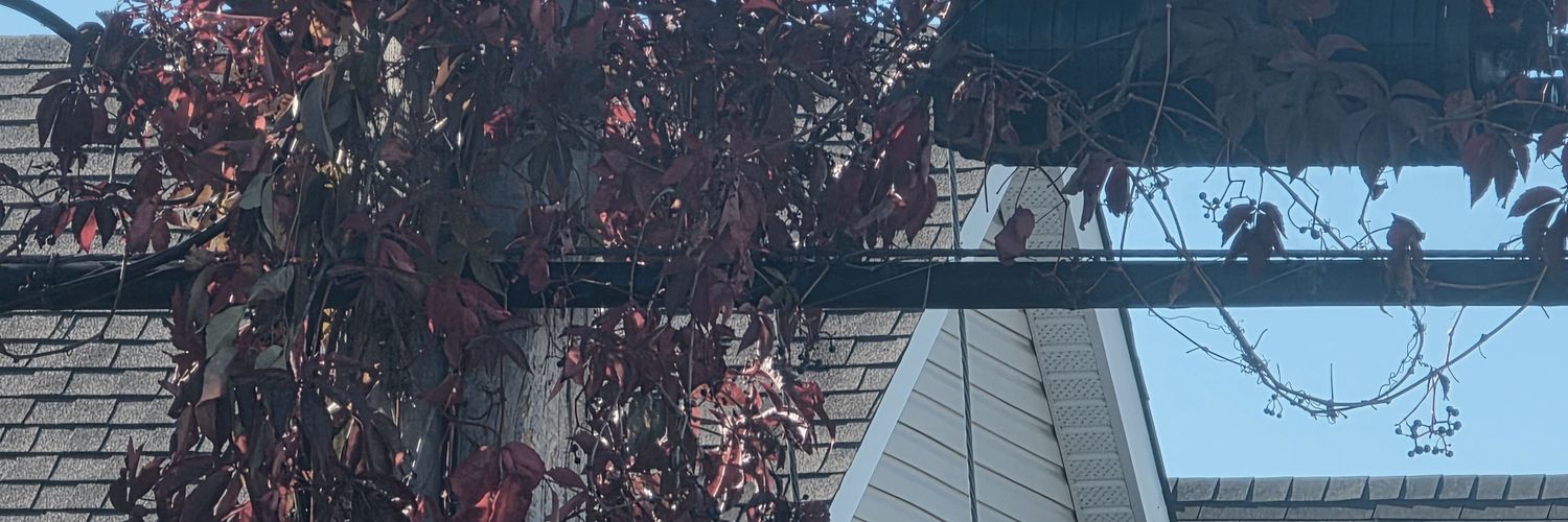 andie. banner