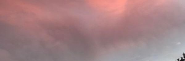 nova_revenge's profile banner image