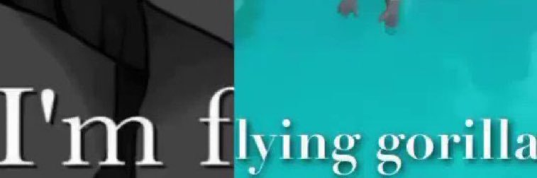 JJin1208's profile banner image
